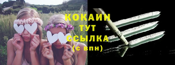 мескалин Богданович