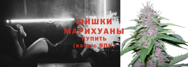 гашик Богородицк