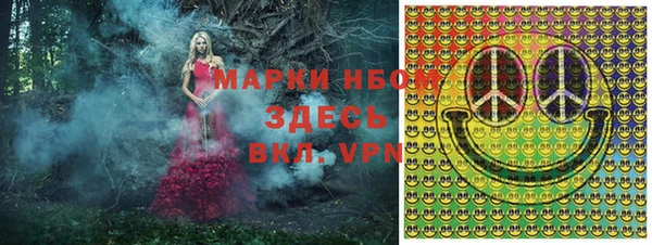 гашик Богородицк