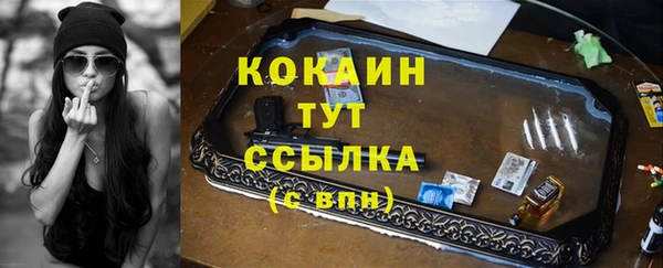 гашик Богородицк