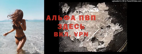 мескалин Богданович