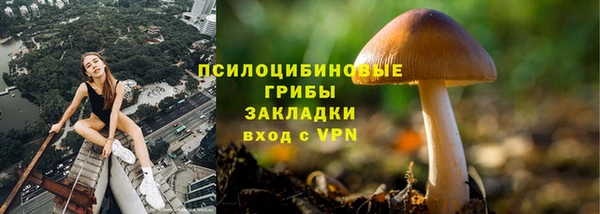 гашик Богородицк