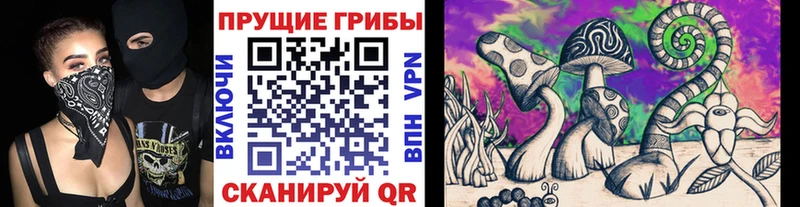 Купить закладки  Красноуфимск  Псилоцибиновые грибы мицелий 